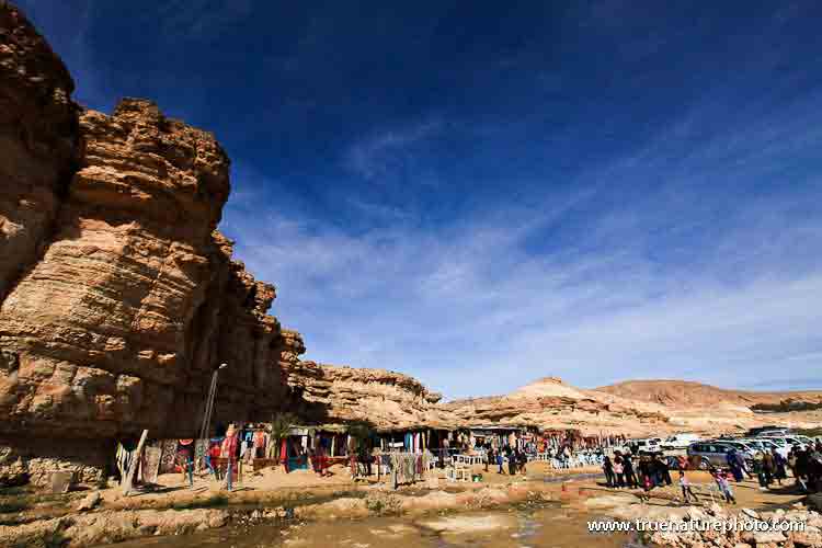 تور تونس نوروز 95