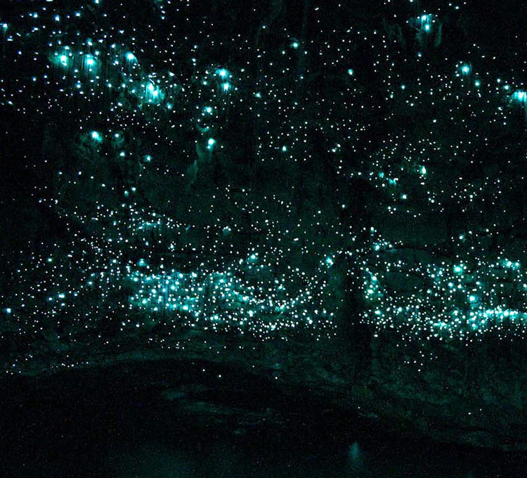 غارهای وایتومو گلوورم