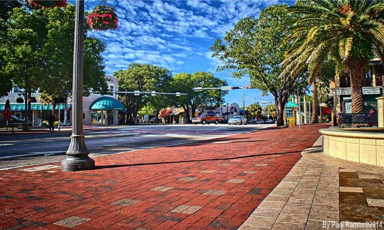 Coconut Grove 3