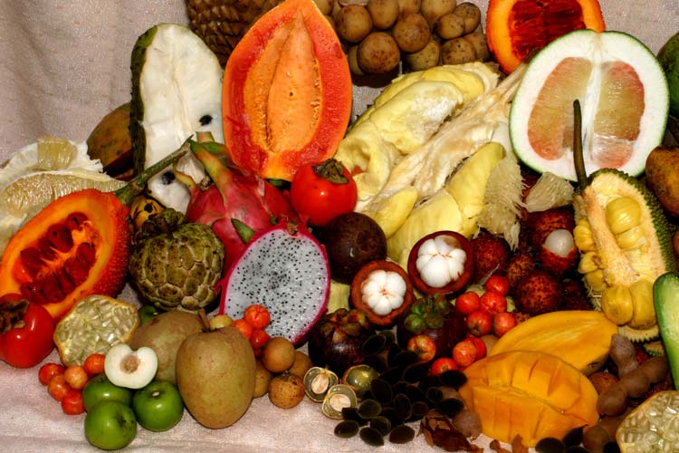 Fruit and Spice Park 5