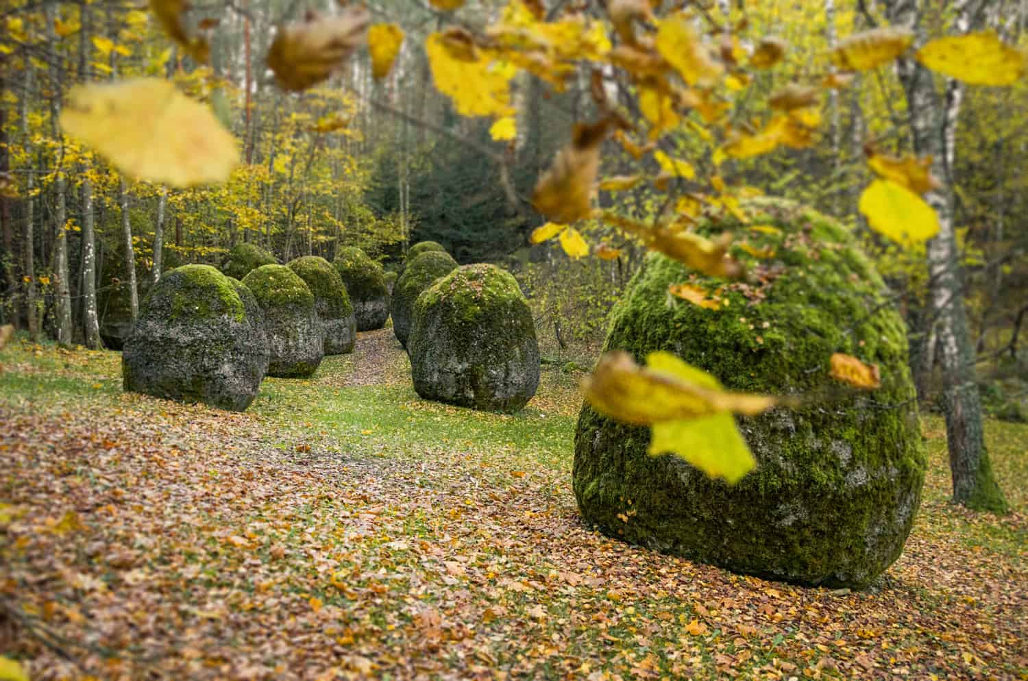 The Park of Europe
