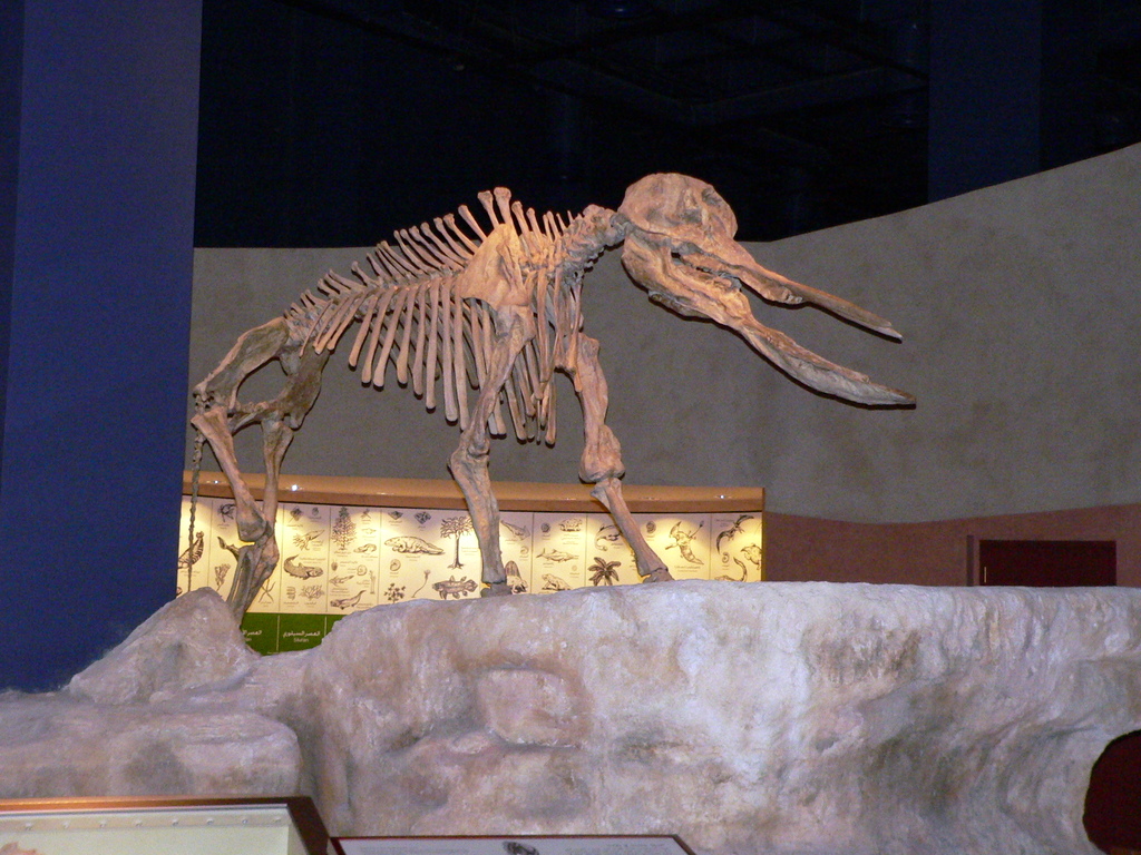 National Museum Of Riyadh