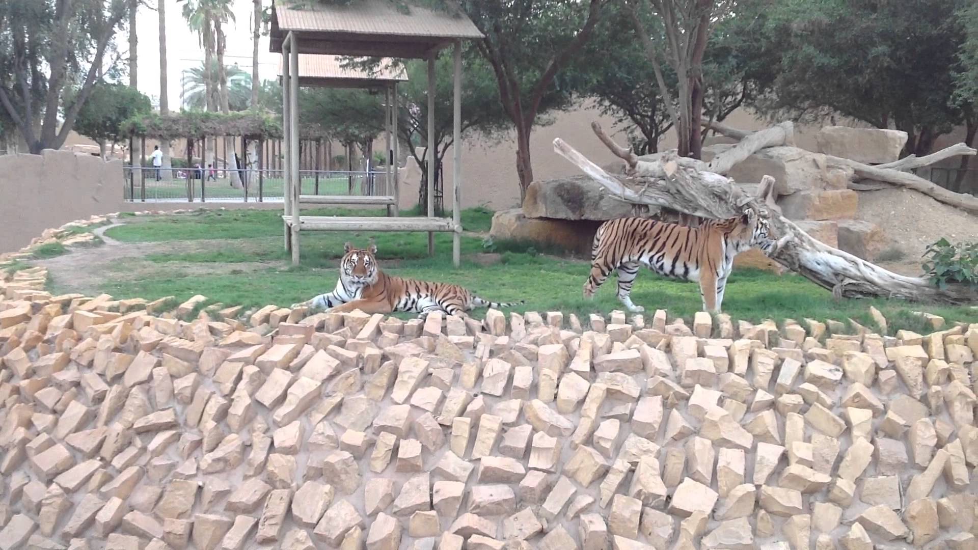 ZOO